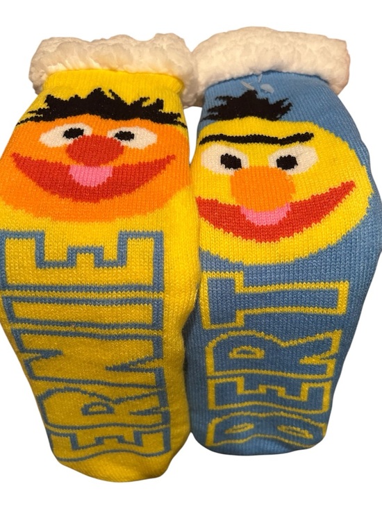 Other - Sesame Street Ernie & Bert NWOT Cozy Sherpa Slipper Socks (OSFA)